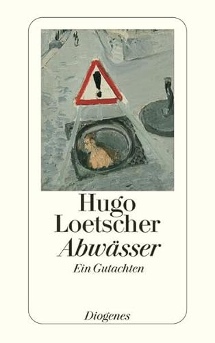 Abwässer: Ein Gutachten (detebe) von Diogenes Verlag AG